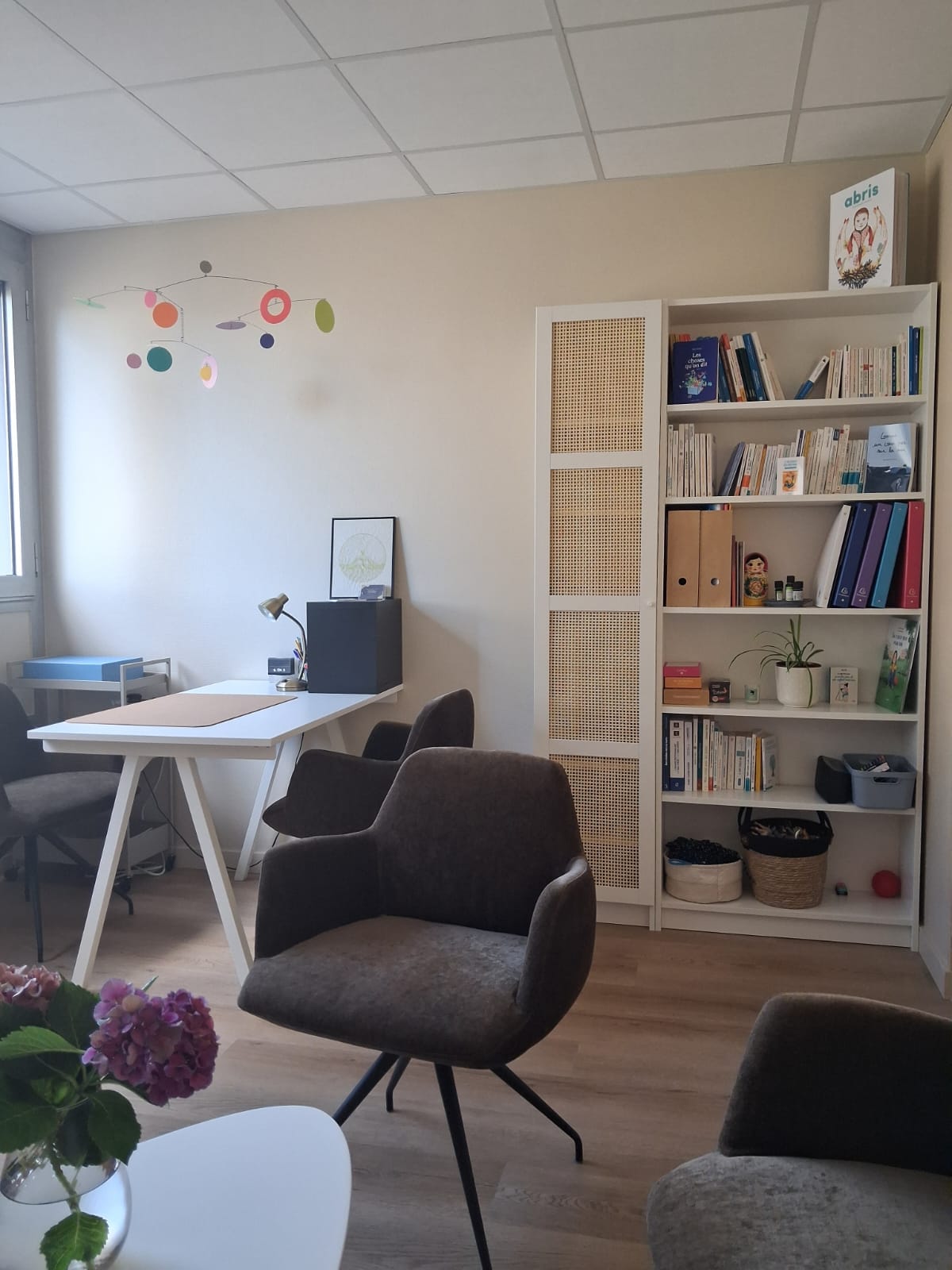 Photo du cabinet et de la bibilothèque